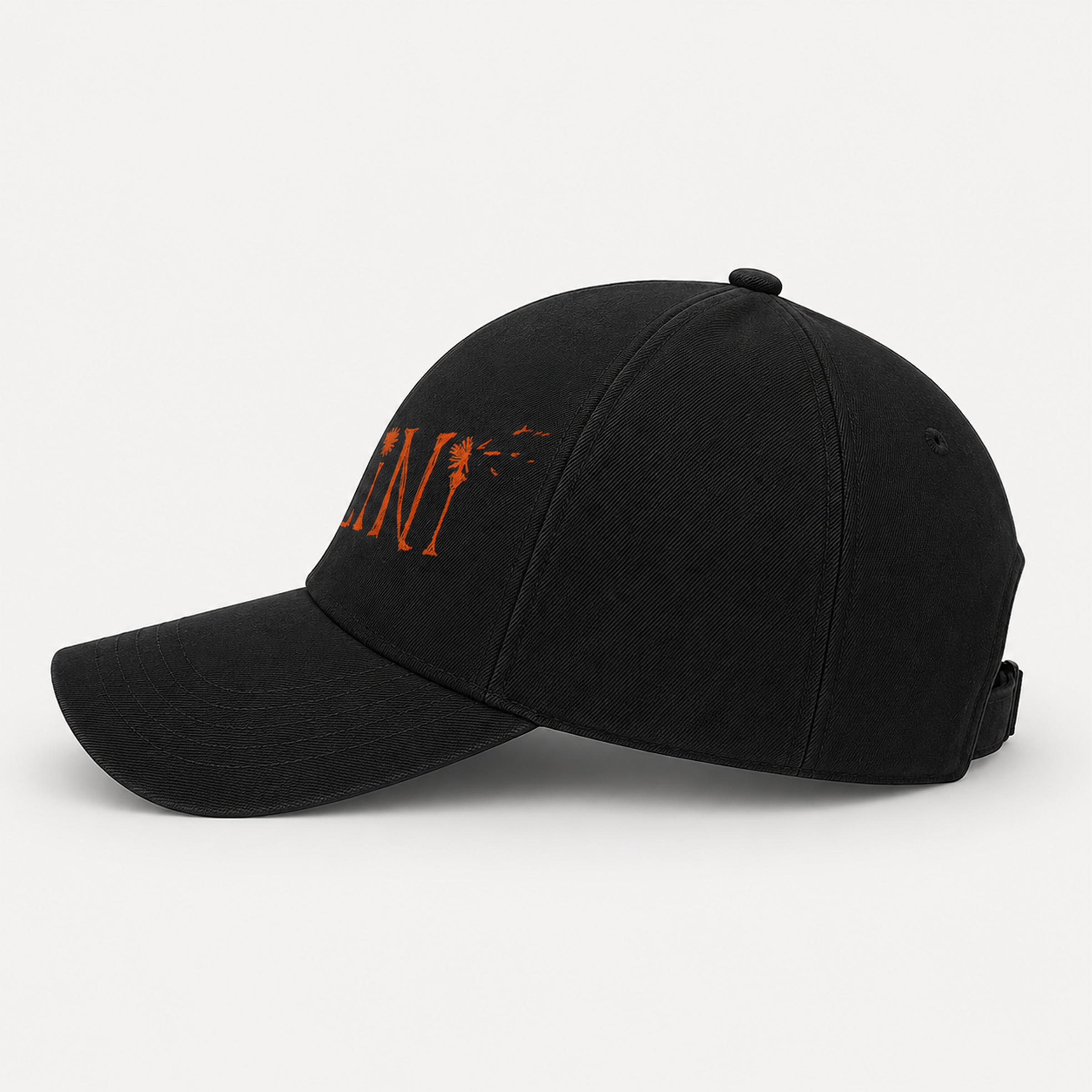 PLINI Logo India Tour '26 Baseball Black Cap