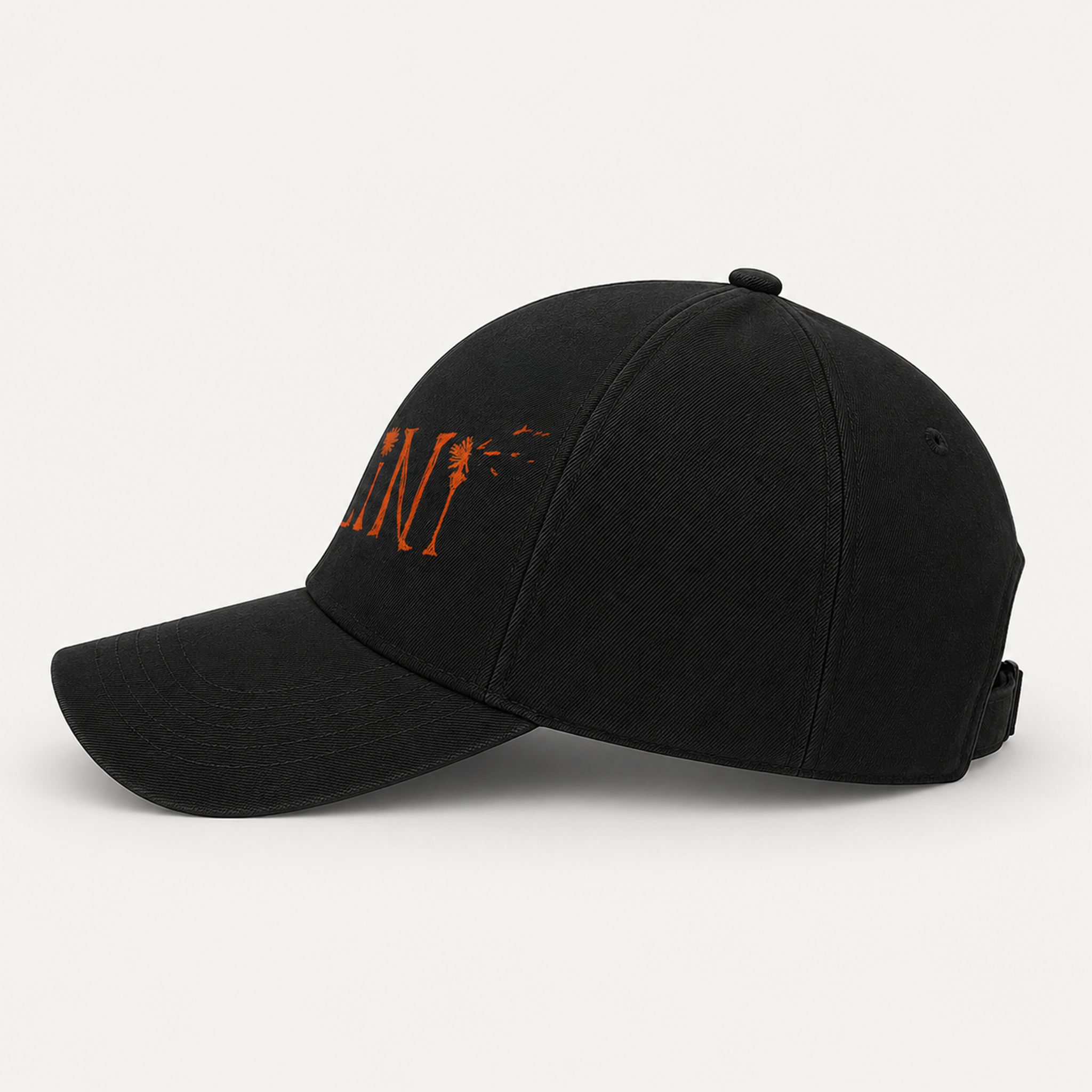 PLINI Logo India Tour '26 Baseball Black Cap