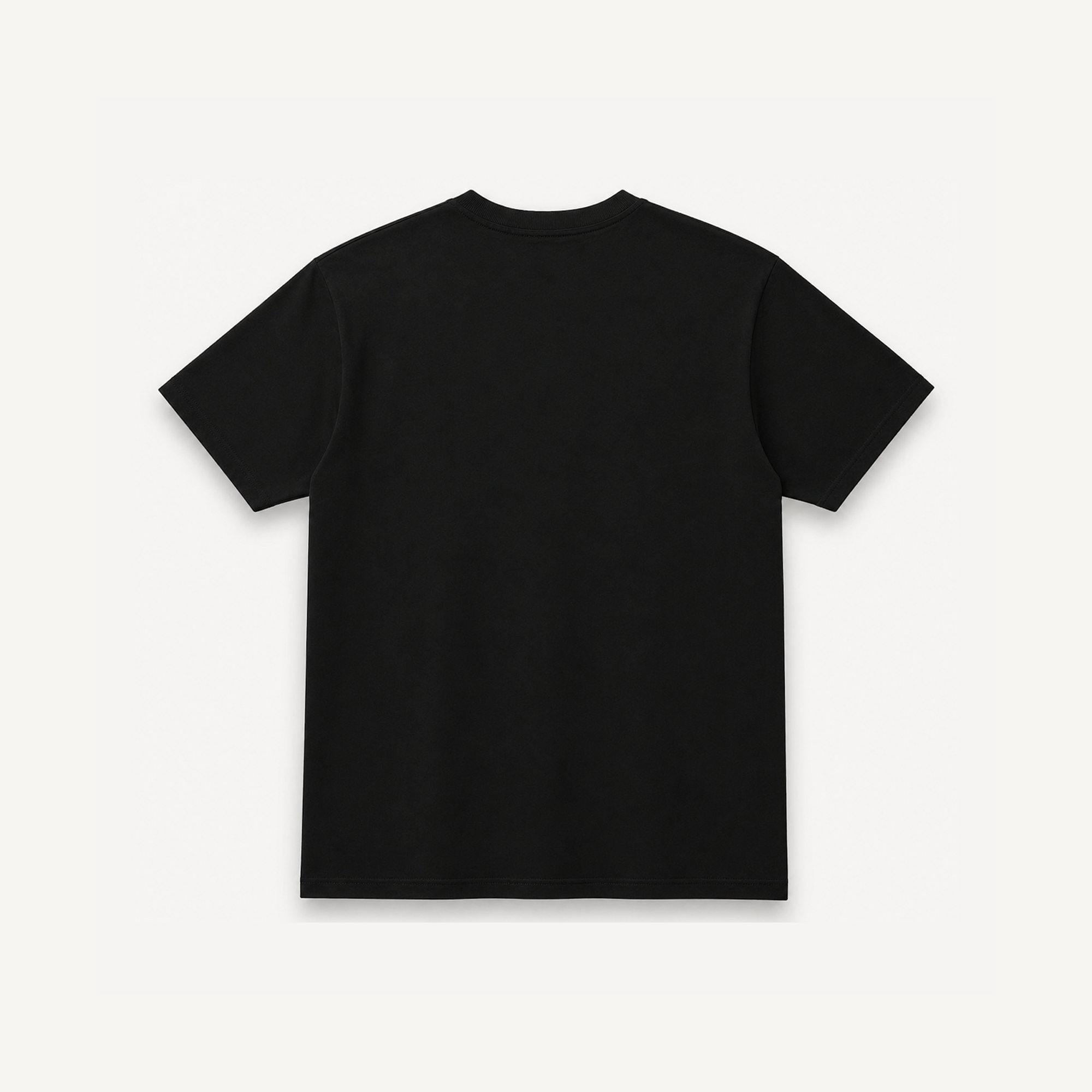Project Mishram Logo Black Regular Tee
