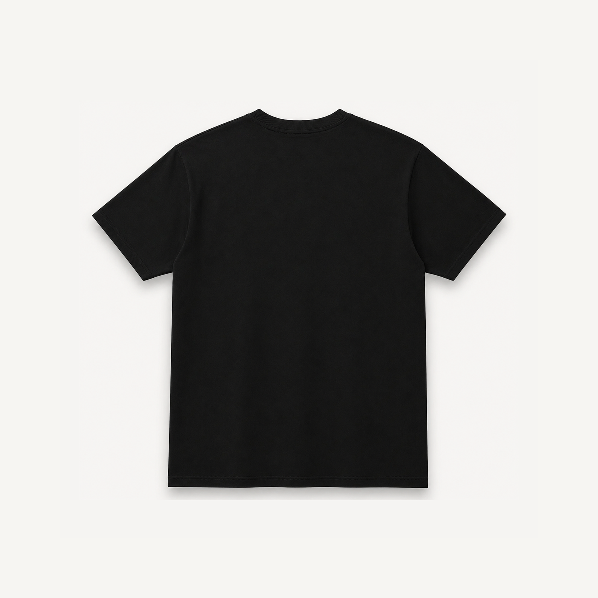 Project Mishram Tamasat Black Regular Tee