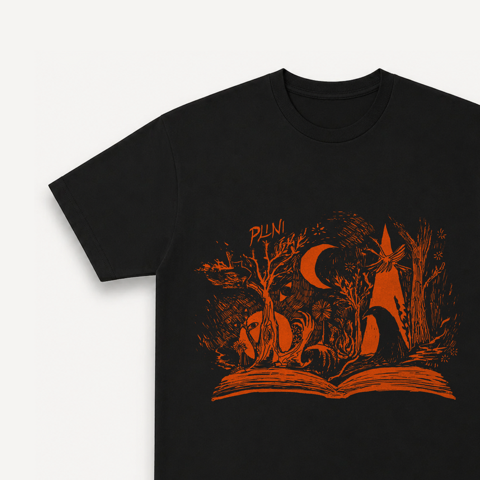 PLINI An Unnameable Desire Black Regular Tee