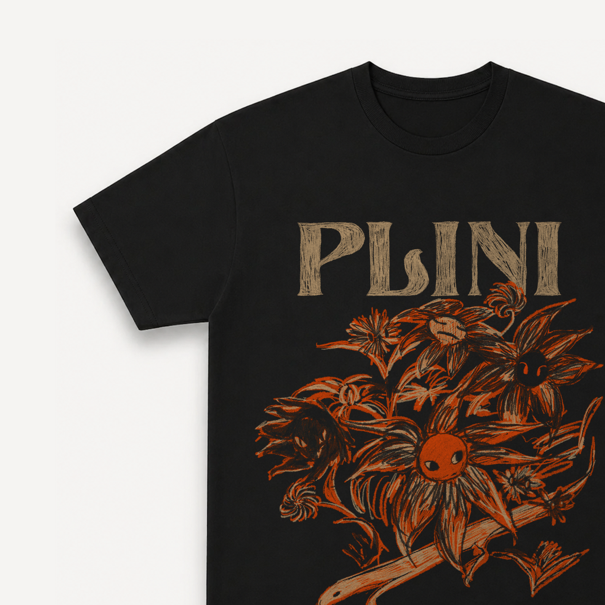 PLINI Asia Tour '26 Black Regular Tee