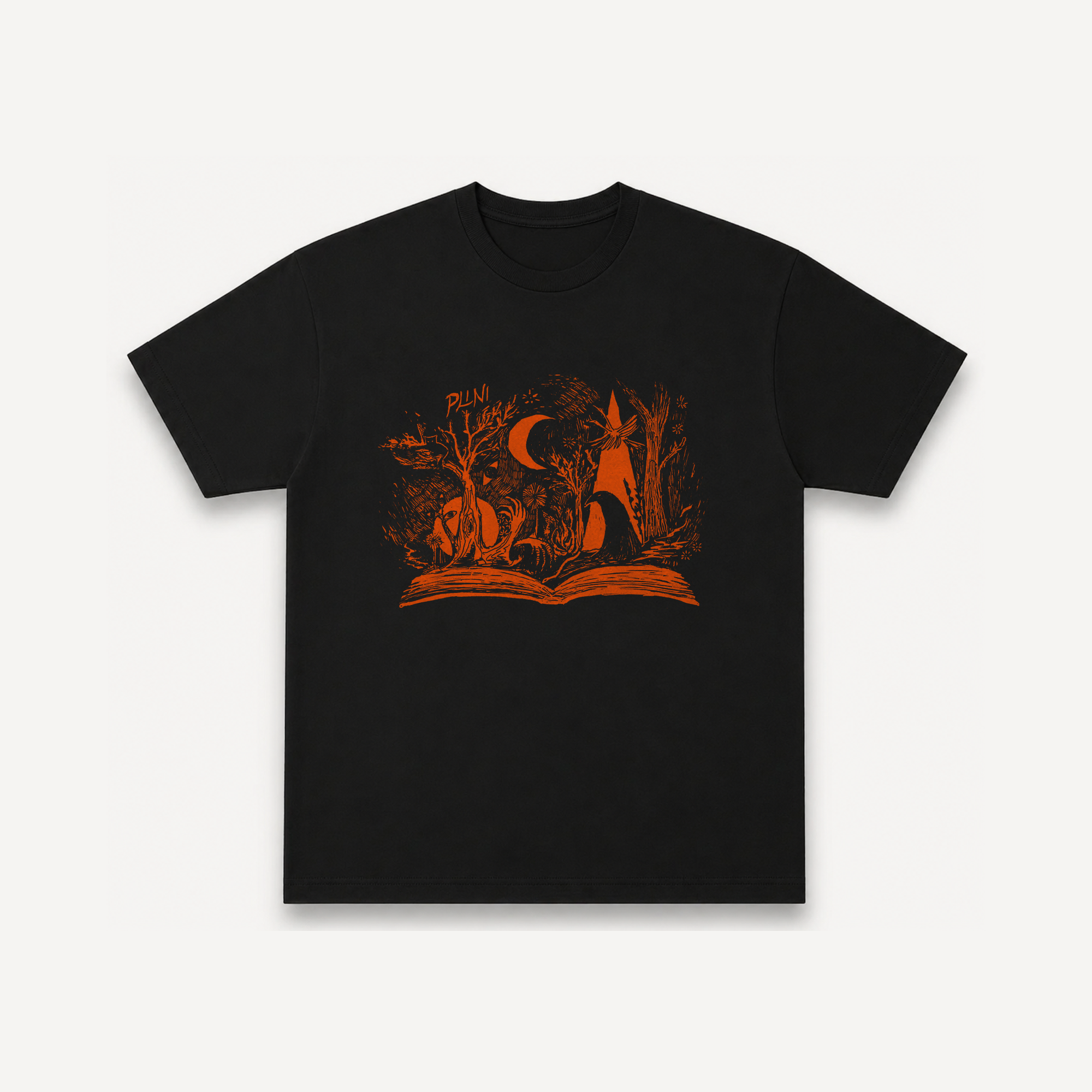 PLINI An Unnameable Desire Black Regular Tee