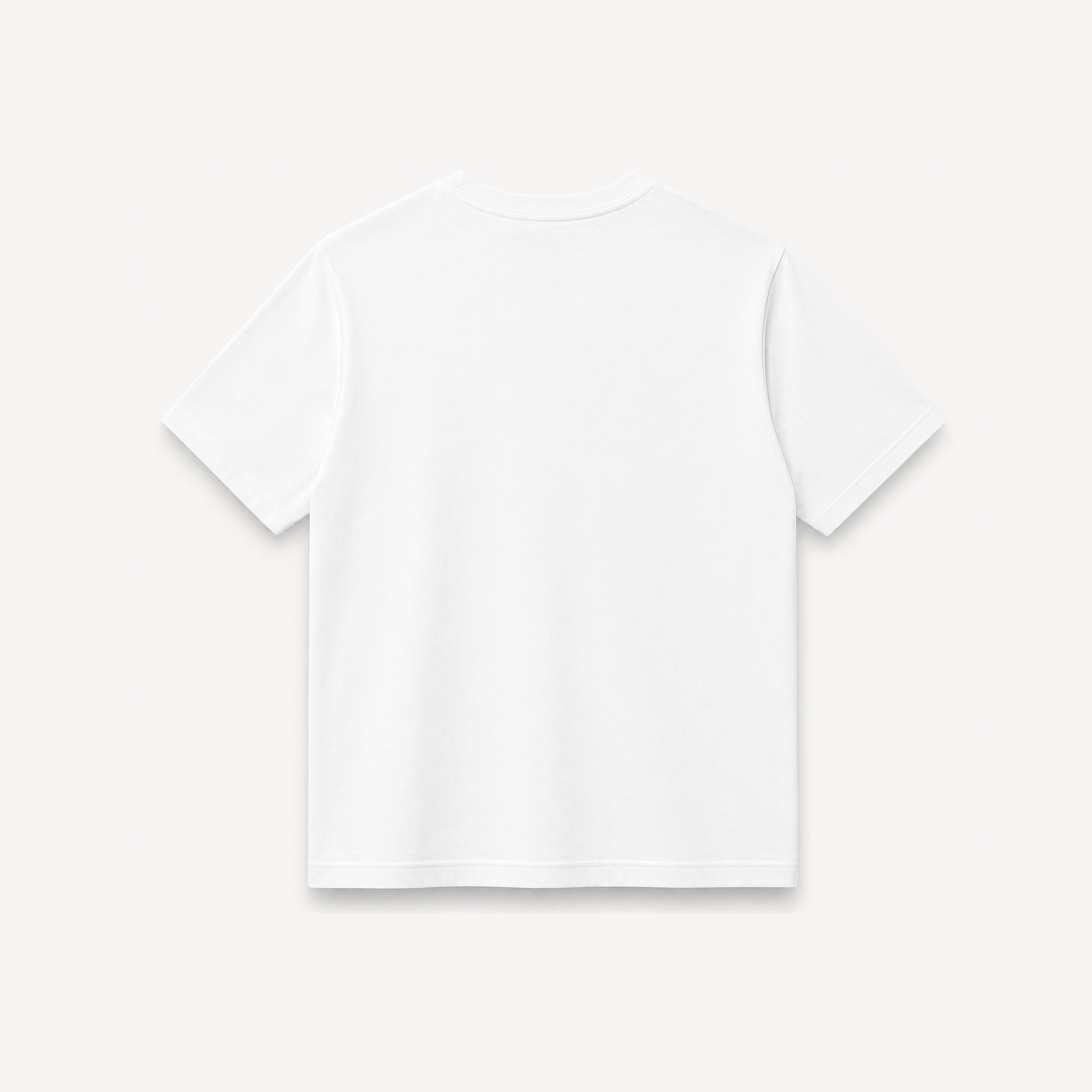 Project Mishram Tamasat White Regular Tee