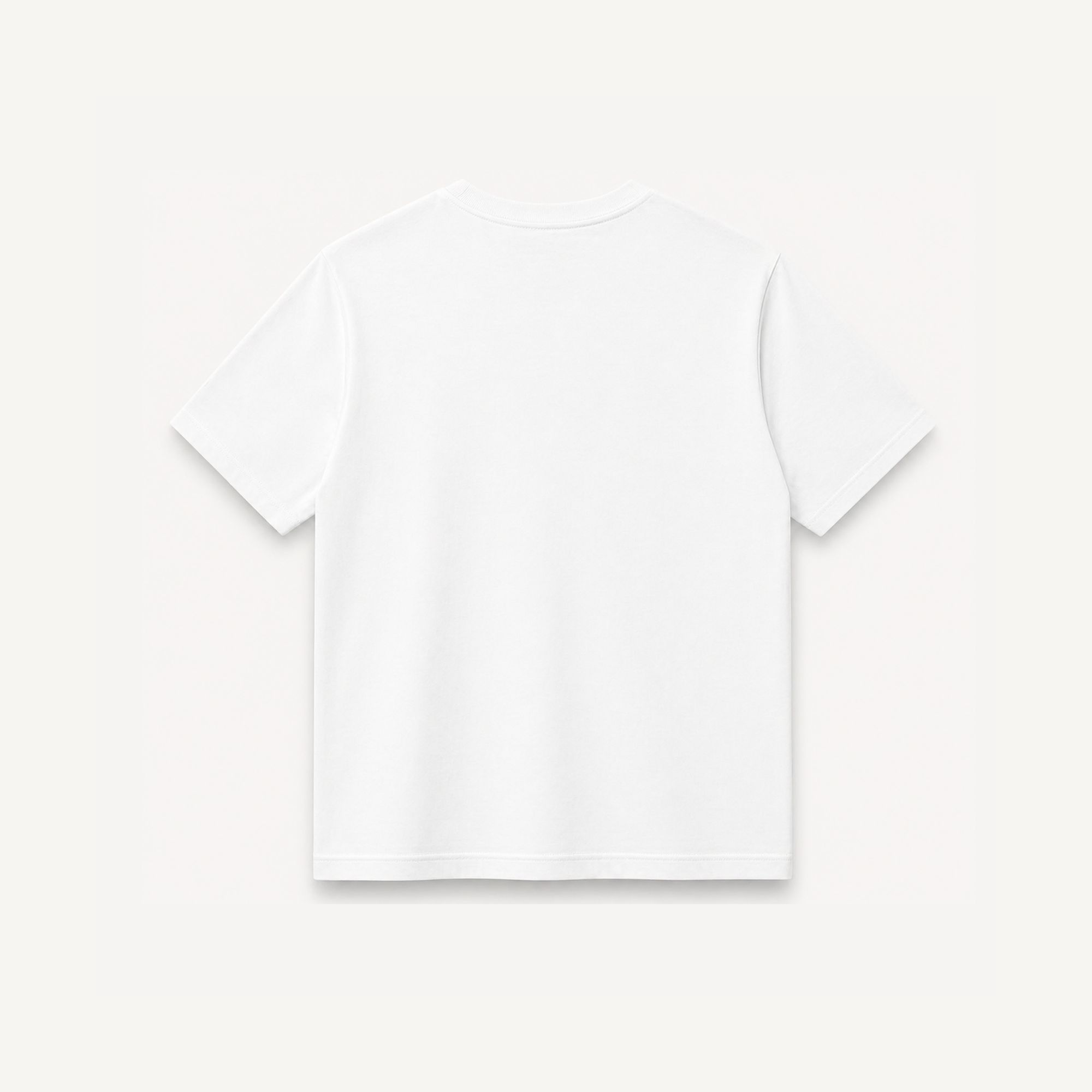 Project Mishram Logo White Regular Tee